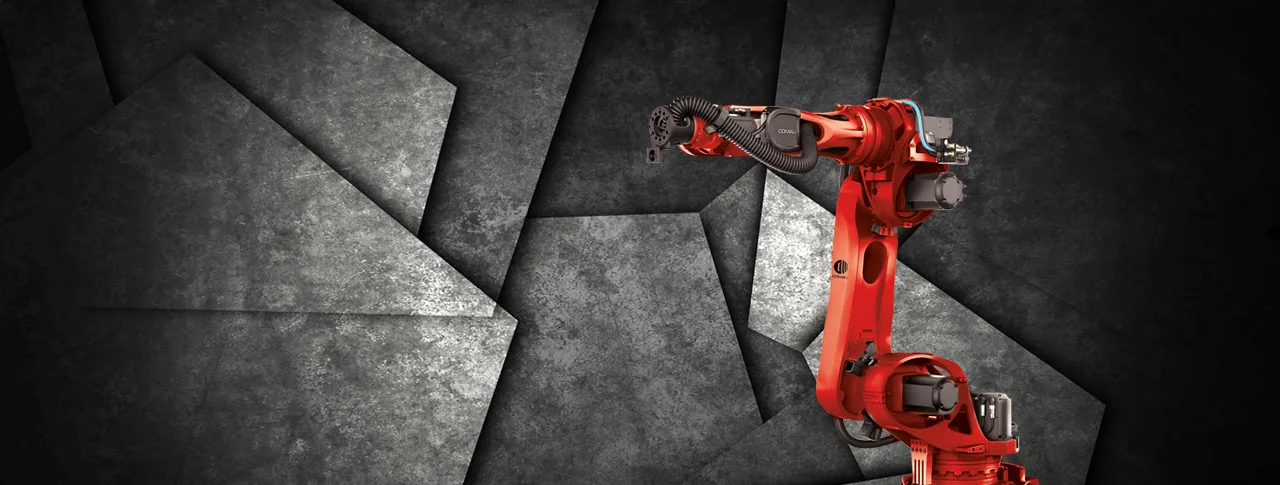 N-170 robot