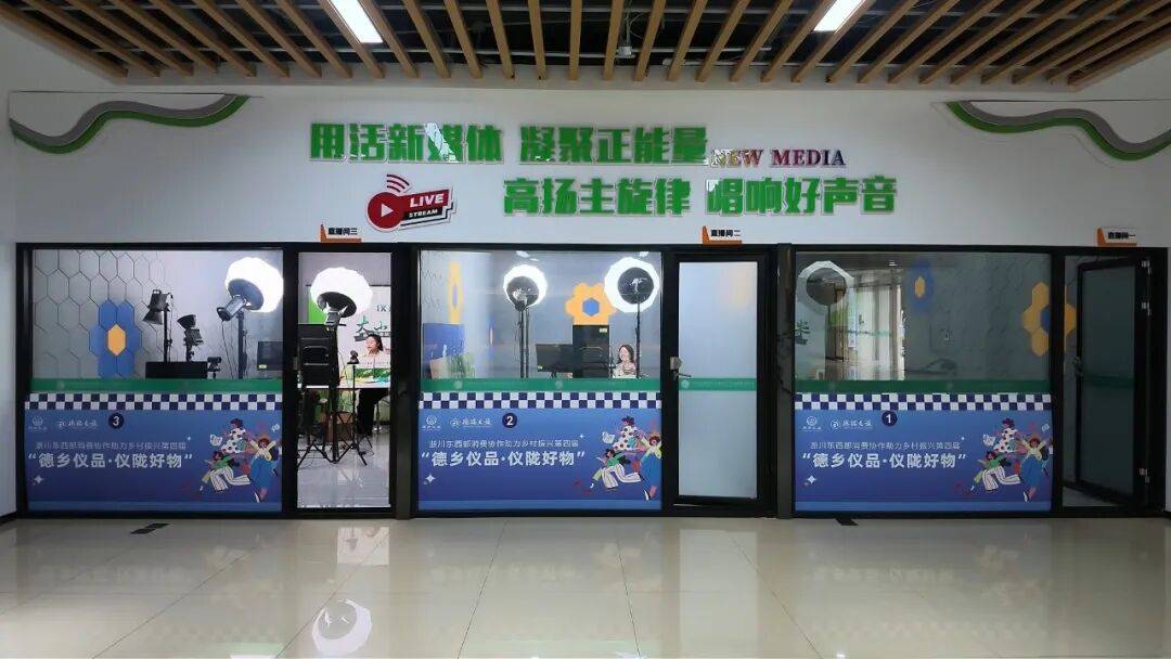 园区网络直播间矩阵(图源:仪陇融媒公开报道)
